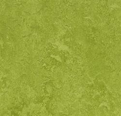 Forbo Marmoleum Fresco Linoleum 3247 Green